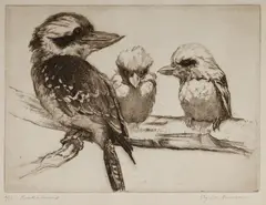 James Squire Morgan, Kookaburras, Etching 6/75