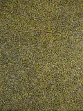 Gloria Petyarre, Bush Medicine Leaf