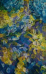 Emily Pwerle, Awelye Atnwengerrp, 2007, Acrylic on Linen