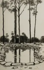 David Preston, Rock Pool, 1982, Charcoal