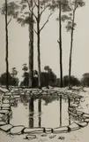David Preston, Rock Pool, 1982, Charcoal