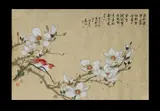Licheng Wang, Magnolia Flowers & Birds, Ink & Colour