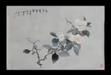 Licheng Wang, Summer Dream, Ink & Colour