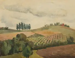 Roland Wakelin, Kurrajong, 1943, Oil on Board