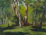Forest Remnants, Palm Beach by Allan Waite, Oil on Board, offered Sep 2021