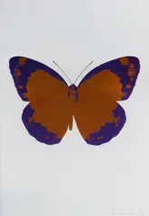 Damien Hirst, The Souls II - Prairie Copper/ Imperial Purple/ Blind Impression, 2010, Two Colour Foil Block Print 12/15