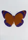 The Souls II - Prairie Copper/ Imperial Purple/ Blind Impression by Damien Hirst, 2010, Two Colour Foil Block Print 12/15, sold Sep 2021