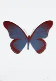 The Souls IV - Frost Blue/Chilli Red by Damien Hirst, 2010, Two Colour Foil Block Print 11/15, sold Sep 2021