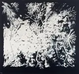 Peter Alexander, San Blas III, 1988, Lithograph 14/75