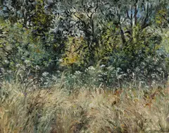 Tessa Perceval, Cow Parsley in Summer Meadow, Oil on Linen