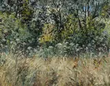 Tessa Perceval, Cow Parsley in Summer Meadow, Oil on Linen