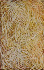 Bush Medicine Dreaming by Barbara Weir, 2018, Acrylic on Linen, sold Aug 2021