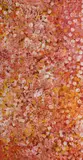 Polly Nelson Ngale, Bush Plum, 2019, Acrylic on Canvas