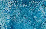 Polly Nelson Ngale, Bush Plum, 2018, Acrylic on Canvas