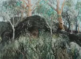 Robyn Gosbell, Gymea Bushland, Pastel