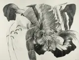 Michael Esson, Deconstructed Figure, 1986, Pencil