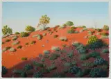 James Ainslie, In the Shadow of a Dune, Acrylic on Paper