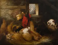 George Armfield, Barn Interior with Terriers Ratting, Oil on Canvas