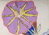 Malcolm de Chazal, Flower with White Background, Gouache