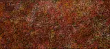 Gracie Morton Pwerle, Mountain Devil Lizard Dreaming, 2019, Acrylic on Canvas