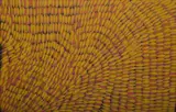 Gloria Petyarre, Bush Medicine