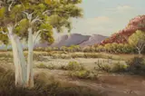 Henk Guth, The Mac: Donnell Ranges, Oil on Canvas