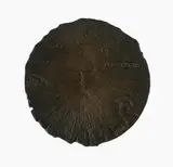 Andor Mészáros, Saule, Saule, Quid Me Persequeris?, Bronze Plaque