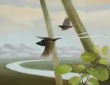 Blake Twigden, Ribbon-Tailed Birds of Paradise, 1981, Acrylic on Board