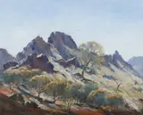 Robert Johnson, Mountain Country