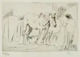 Augustus John, Studies of Horses and Girl Standing