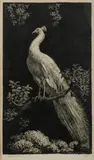 Lionel Lindsay, The White Peacock