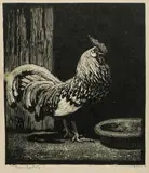 Lionel Lindsay, Spangles, Hans Heysen's Pet Rooster
