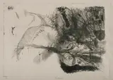 Strom Gould, Tangleweed, Lithograph 1/30