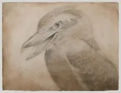 Jason Benjamin, Yes said the Sky, 2011, Pencil & W/Clr on Paper