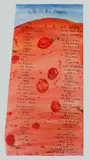 Luke Sciberras, Ode to the Tomato (Pablo Neruda), Acrylic on Paper
