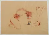 Jo Bertini, Study of a Camel, 2009, W/Clr & Crayon