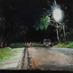 Simon Collins, Woronora, 2008, Oil on Board