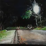 Simon Collins, Woronora, 2008, Oil on Board
