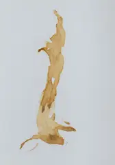 Hanging Rabbit by Luke Sciberras, 2006, Coffee on Paper, sold May 2021