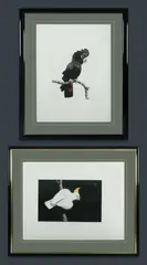 David Preston, (2), Coloured Etching (2)