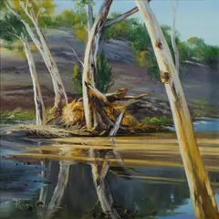 Robyn Collier, Flood Debris, Bracchina Gorge, Oil on Canvas on Board