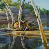 Robyn Collier, Flood Debris, Bracchina Gorge, Oil on Canvas on Board