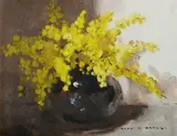 Alan Douglas Baker, Golden Wattle
