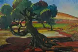 George Duncan, The Mangrove