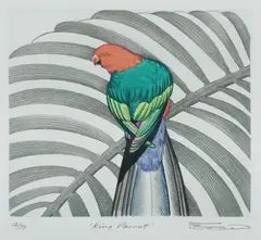 Blake Twigden, King Parrot, Hand Coloured Aquatint 12/35