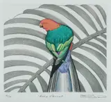 Blake Twigden, King Parrot, Hand Coloured Aquatint 12/35