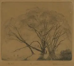 Elioth Gruner, The Willows, drypoint no. 27