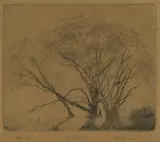 Elioth Gruner, The Willows, drypoint no. 27