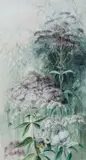 Ellis Rowan, Tasmanian Blue Gum, State Floral Emblem