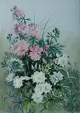 Ellis Rowan, Malva Mosshata (Mallow)